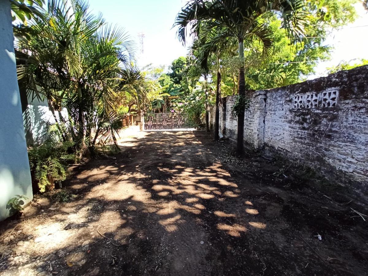 Ometepe House Bed & Breakfast โมโยกัลปา ภายนอก รูปภาพ