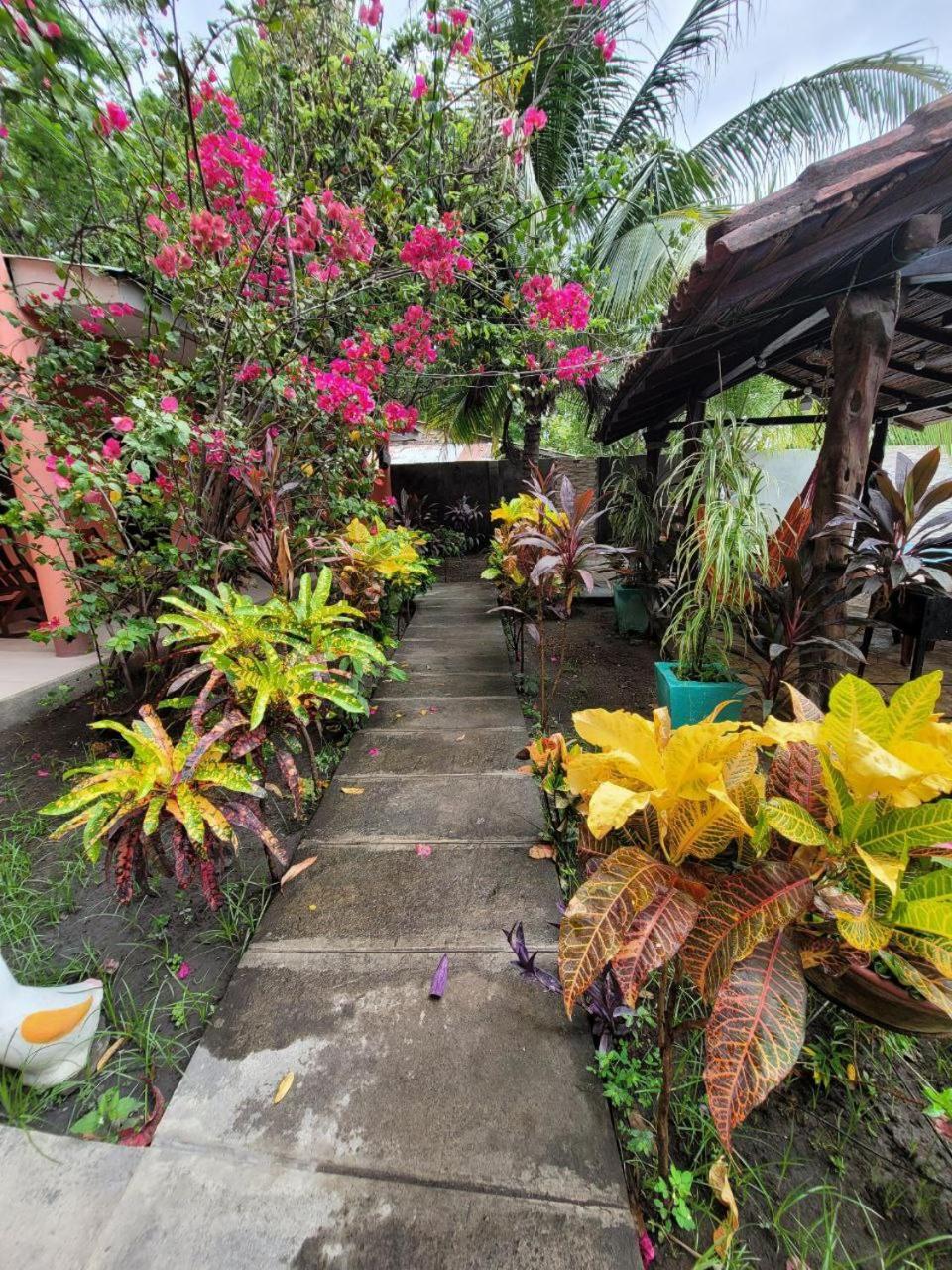 Ometepe House Bed & Breakfast โมโยกัลปา ภายนอก รูปภาพ